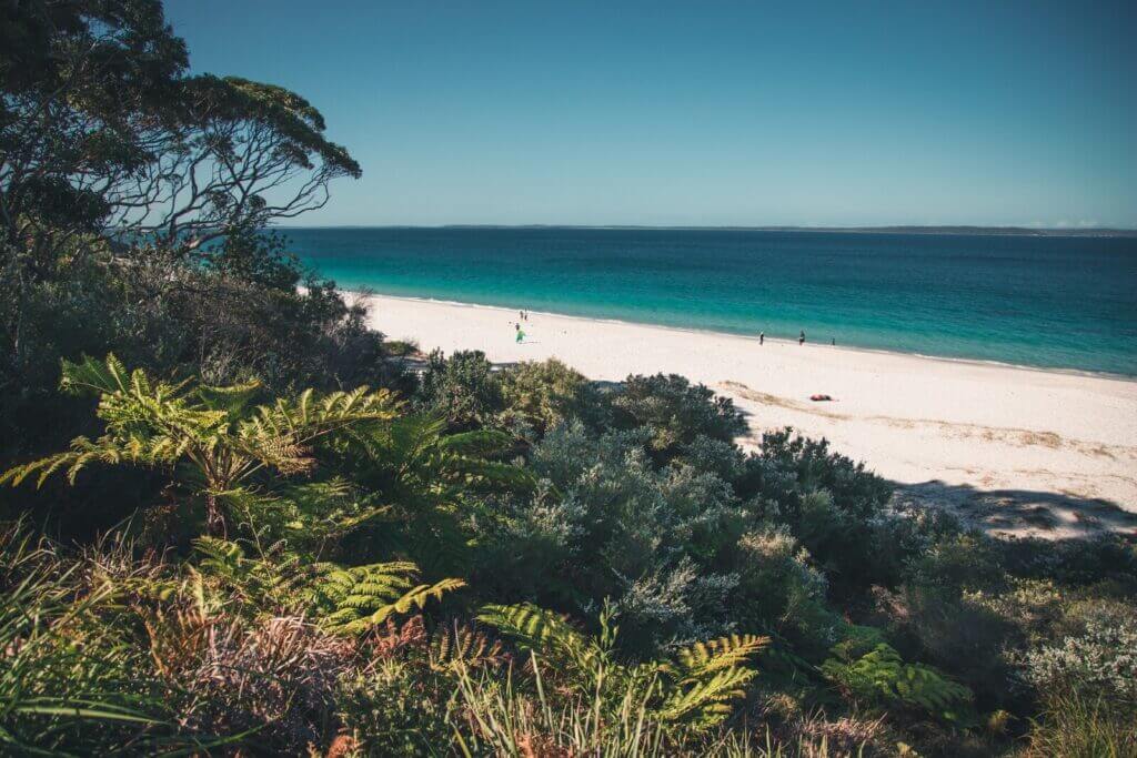 The white sand beaches at Jervis Bay